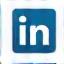 Icona LinkedIn